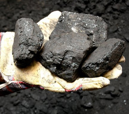Steam Coal